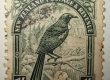 nz stamps. 1935 pictorials. bird. tui. 1/-