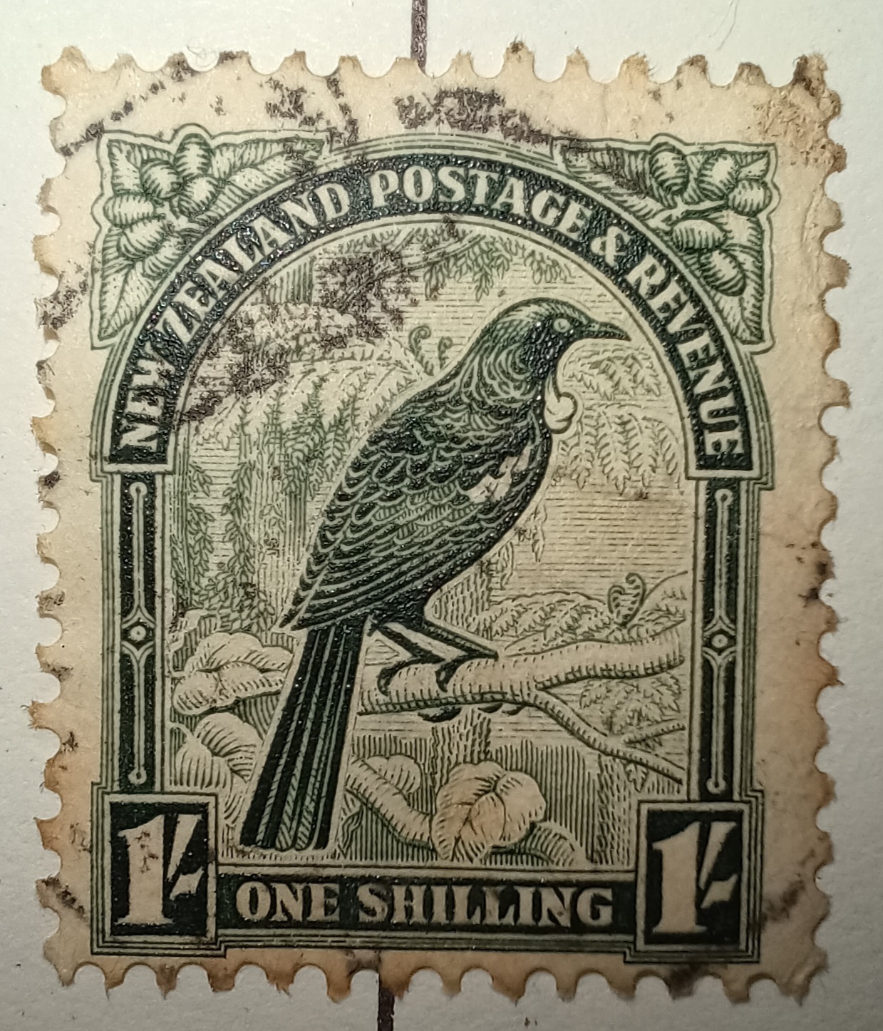 nz stamps. 1935 pictorials. bird. tui. 1/-