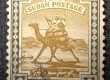 arab postman on camel
